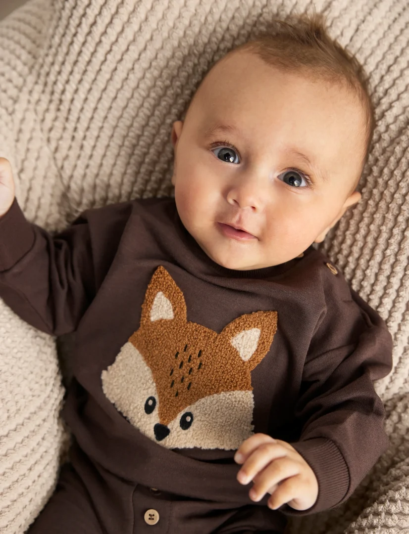 Fox Sweatshirt LS - Bilde 3