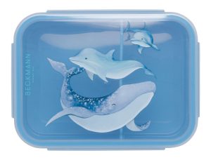 Lunch box Ocean